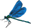 Dragonfly Art Clip Art